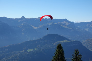 Gleitschirmflieger bei Bezau