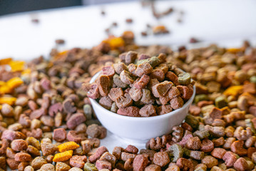 Dry pet food in a white ceramic bowl