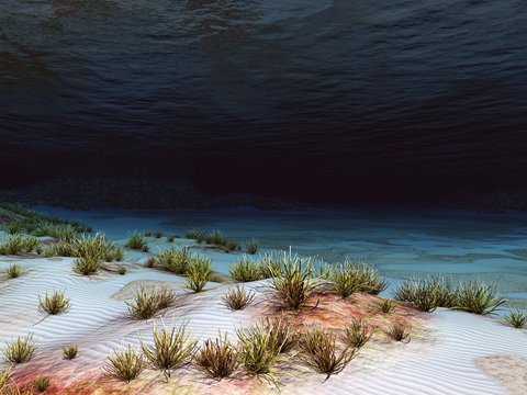 Unterwasser Landschaft mit Korallen