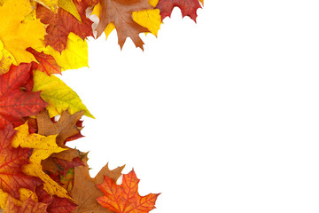 Naklejka na ściany i meble Angle frame of colorful autumn dry leaves