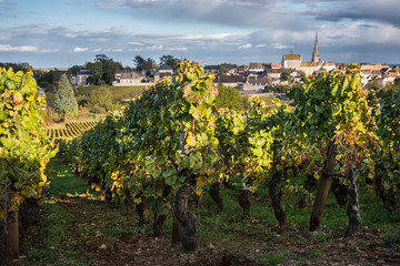 Fototapeta na wymiar village de Meursault et vignoble bourgogne automnal