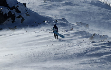 Stylish snowboarder walks with his beautiful snowboard through windstorm. Strong gale raging on the top of mountain and man in colored clothes has problem stand straight. Low tatras in Slovakia