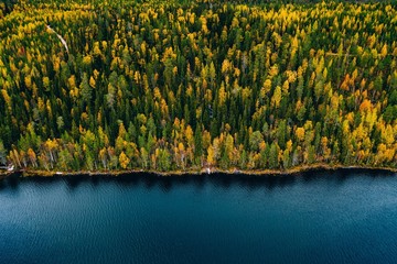 Aerial view of cottage in autumn colors forest by blue lake in rural Finland