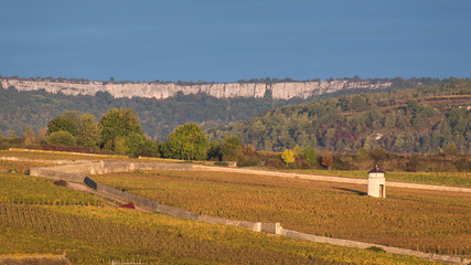 Obraz premium Paysage des falaises de Saint Romain et des vignes de Meursault en automne. Le vignoble de la Côte-d'Or en automne. Des vignes automnales.