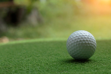 Golf ball on green grass in the evening golf course