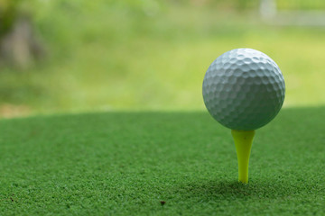 Golf ball on green grass in the evening golf course
