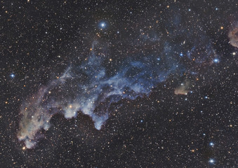 Witch Head Nebula IC 2118