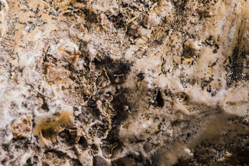 Background of stone wall texture photo.