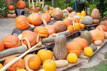   La casa delle zucche e' un luogo di interesse turistico per gli amanti della festa di Halloween