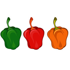 Green, Red and Yellow Capsicums - Cartoon Vector Image