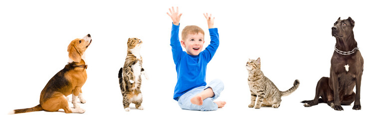 Group of a cheerful child and playful pets together isolated on white background