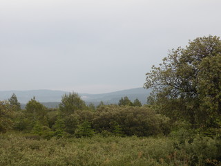 Paysage de Montagne en été 