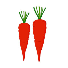 Two Carrots - Cartoon Vector Image