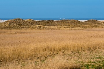 Dünenkette im Herbst