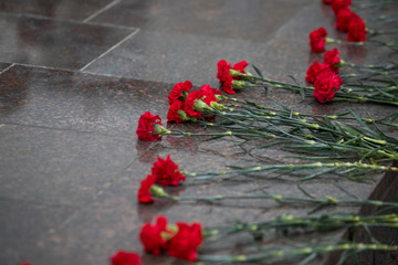 Red roses and carnation symbol of mourning - laying flowers to the monument, telephoto
