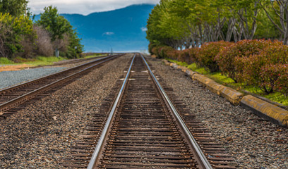 Fototapeta premium Tracks Toward Blue Mountains in the Distance