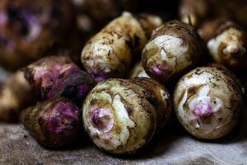 Jerusalem Artichoke 'Weisse Truffel' (Helianthus tuberosus)