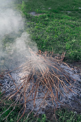 Fire of dry twigs on the green grass