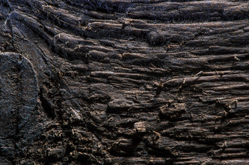Old brown wooden background. Timber texture. Grunge image. Board floor