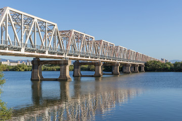 Fototapeta na wymiar 淀川右岸の下流から見た淀川橋梁（2019年10月）