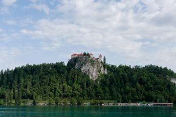Castle in the forest on the top of the mountain and with the lake at the foot