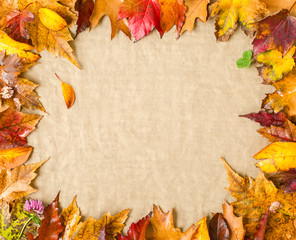 Naklejka na ściany i meble Autumn leafs frame. Natural colours.
