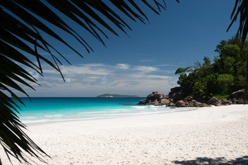 Fototapeta na wymiar tropical beach on la digue island