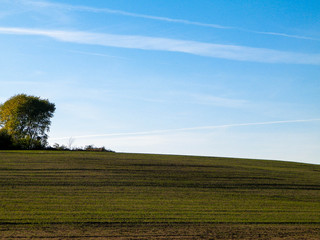 Fototapeta na wymiar End of summer - autumn trees and fields. Mechelinki, Poland.