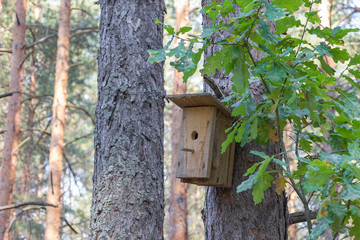 New wooden birdhouse on a tree for forest birds in the forest