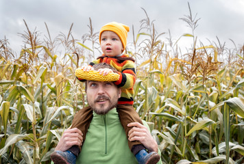 Cute surprised child in colorful sweater sitting on his father shoulders with ripe corn cob on...
