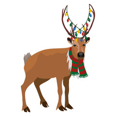 Merry Christmas. Funny reindeer. Cute cartoon character. Vector illustration on white background.