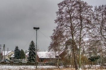 wioska śląska w zimowy pochmurny dzień, zabudowania rolnicze, drzewa wokół domu i wysoki słup przygotowany na gniazdo dla bocianów