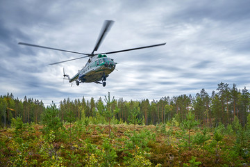 Landing helicopter in Karelian woods