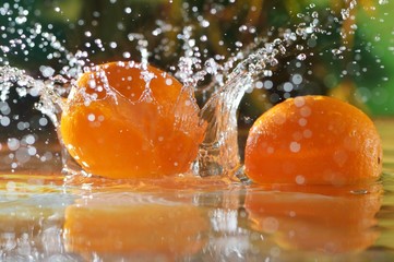Fototapeta na wymiar Fresh oranges fall into the water. Spanish fruit oranges, vegetarian food.