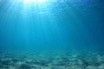 Fototapeta na wymiar Underwater background of clear blue water on sandy sea floor 