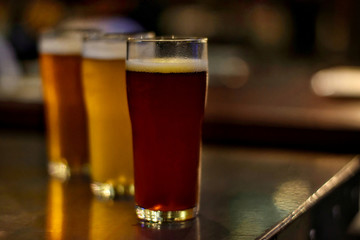 Craft beer for adult on counter bar. 