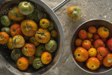 Red and brown tomatoes on a concrete gray background.  View over the head. Harvest vegetables.