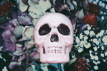 Skull at fairy dreamy magic flowers background.