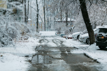 Fototapety na wymiar - Fototapeta24.pl