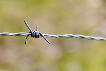Barbed wire close up with copy space