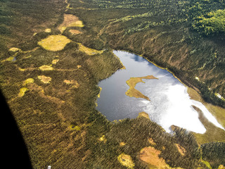 Sinfonie in Gelb nördlich der Brooksrange, Herbstliche Tundralandschaft im Norden Alaskas,...