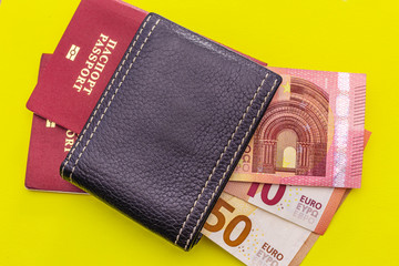 Tourist or busines set for travel. Passport, money and wallet. Euro