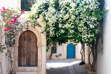 Fototapeta na wymiar Tunisia. (Southern Tunisia). Island of Djerba. Erriadh. Flowering bougainvillea in a village alley