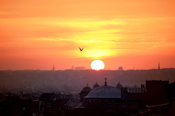 Obraz premium View of Istanbul at sunset. Roofs of old houses, the big sun setting over the horizon, seagulls against the sunset sky. The atmosphere of the ancient city.