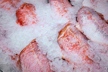 fillet of fish on ice sale of sea bass on the shelves of the market