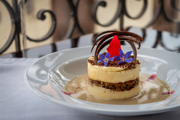 Tiramisu dessert served on a white plate on an unfocused background