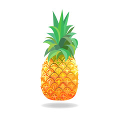  Vector illustration of  pineapple isolated on white background