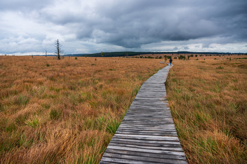 Obraz premium Walker in nature reserve High Fens, Belgium.
