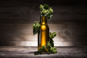 beer in bottle with fresh hop on wooden table in darkness with back light