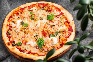 Seafood Italian pizza with shrimp,squid, mussels, fresh herbs and mozzarella on a crusty base viewed from above on Gray background. Horizontal photo.